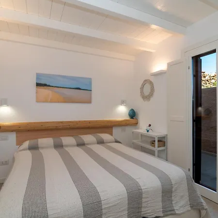 Cactus, Costa Corallina *