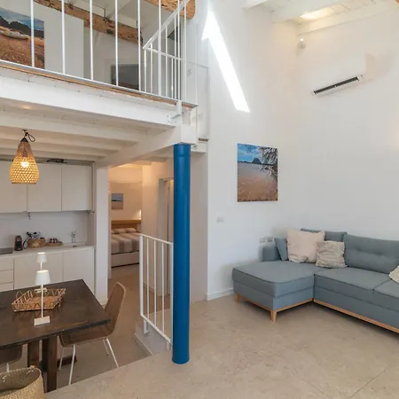 Cactus, Costa Corallina * 올비아