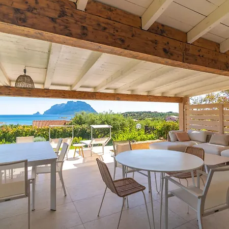 Cactus, Costa Corallina