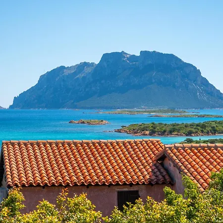 Cactus, Costa Corallina בית נופש אולביה