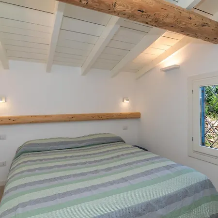 Cactus, Costa Corallina אולביה