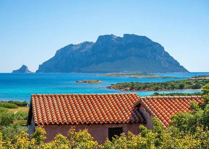 Cactus, Costa Corallina Tatil Evi Olbia