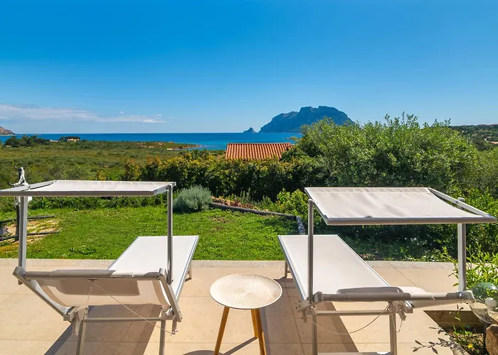 Cactus, Costa Corallina Tatil Evi Olbia